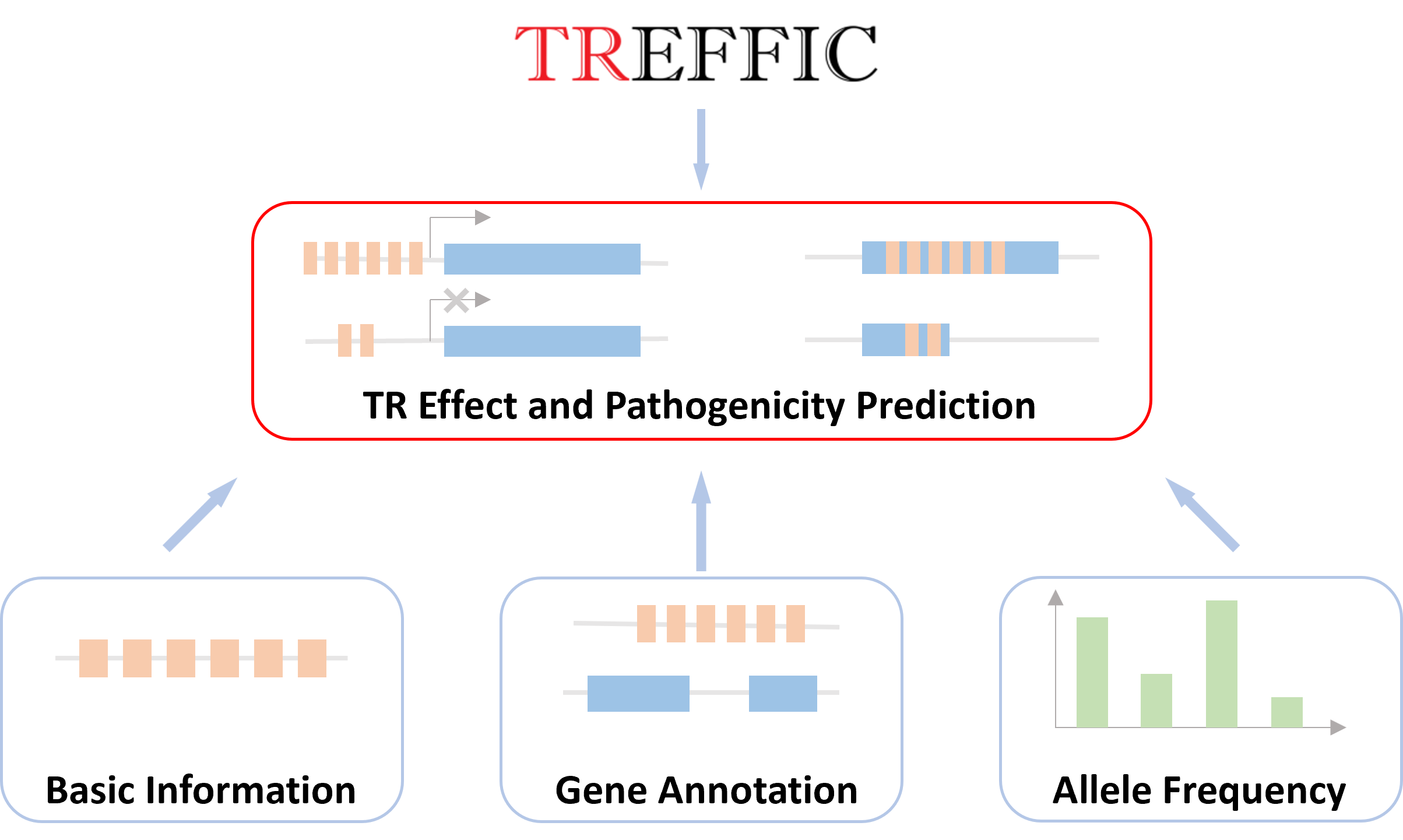 TREFFIC Workflow Diagram